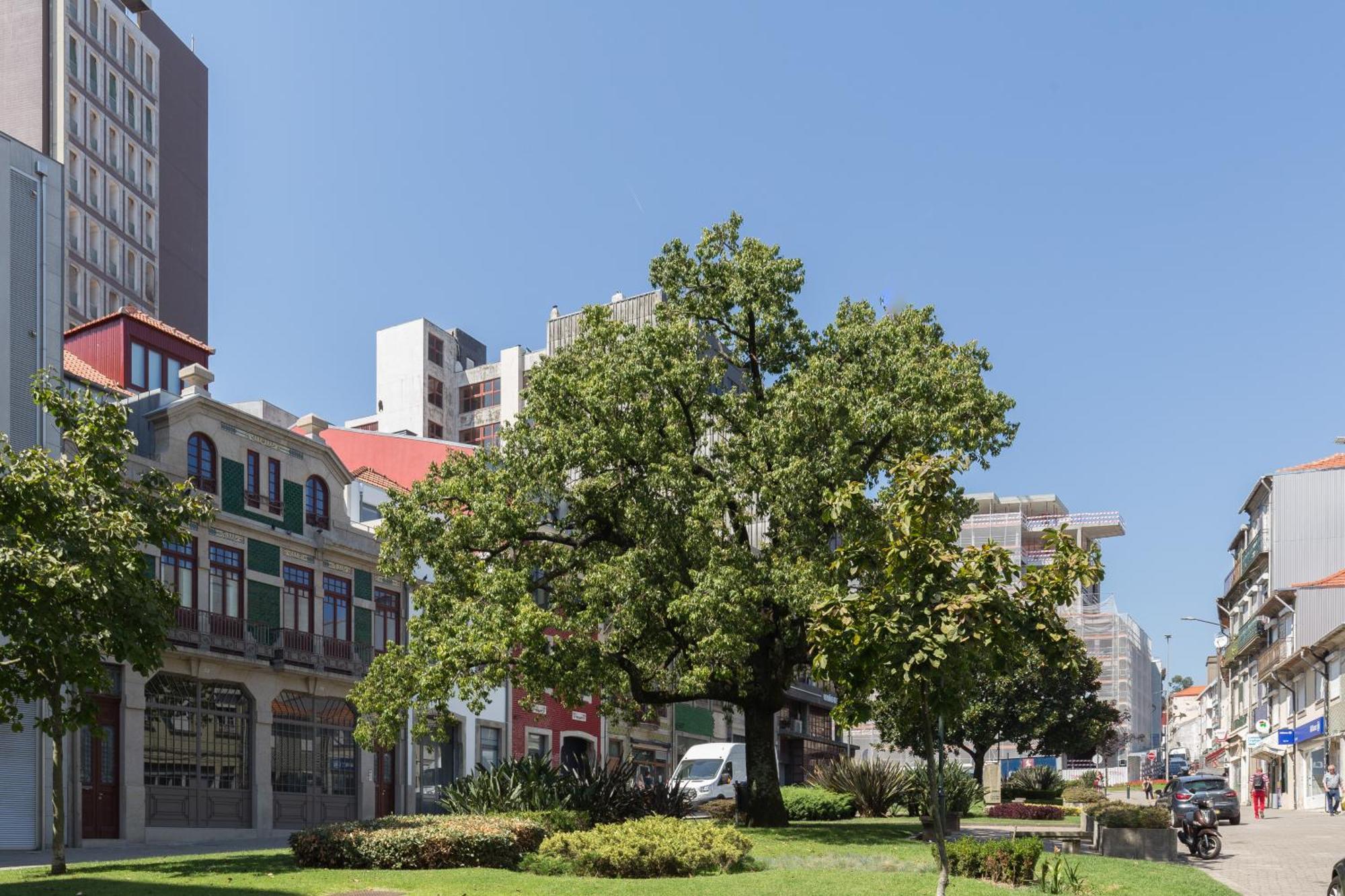 Qp Apartments Trindade Porto Bagian luar foto
